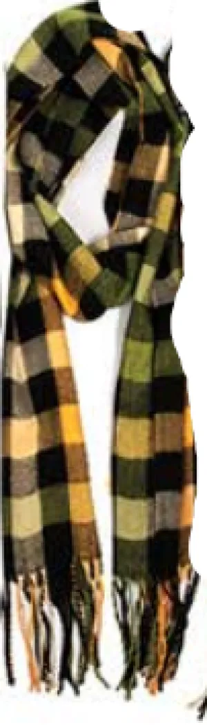 Rapti Fashions  Cashmere Contemporary Plaid Oblong Scarf-CCSNEW-63