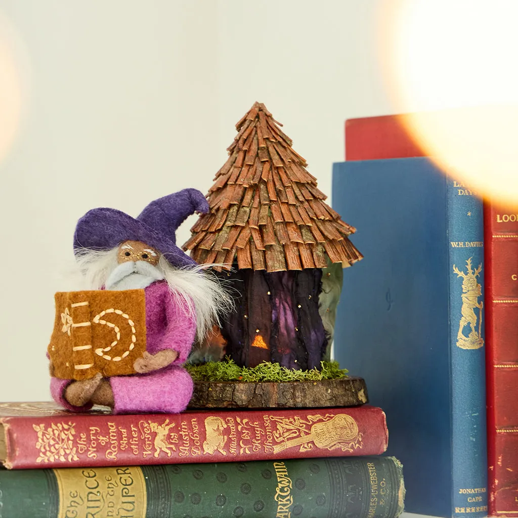 Reading Wizard Ornament