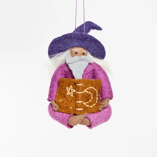 Reading Wizard Ornament