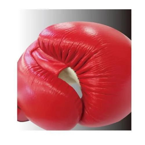 Thai Boxing Gloves